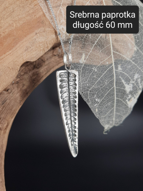 „Leśna Tajemnica” z paprocią – symbol odrodzenia i harmonii